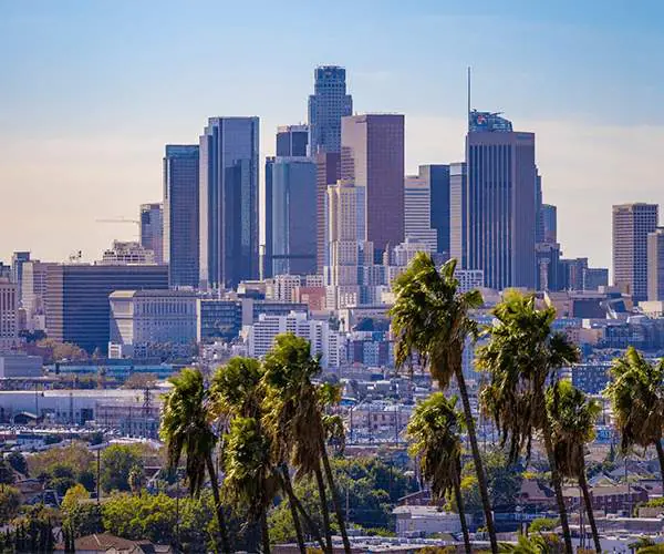 Renta de carro el Aeropuerto Internacional de Los &Aacute;ngeles
