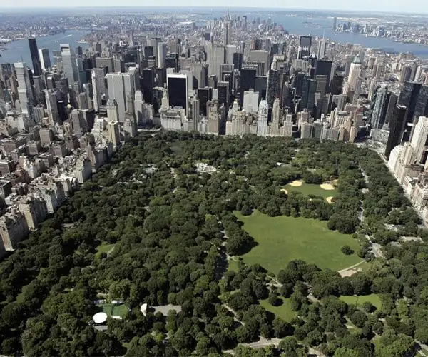 Alquila tu auto en New York de forma segura