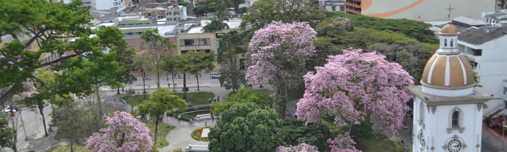 Renta de carro Ibague, Colombia