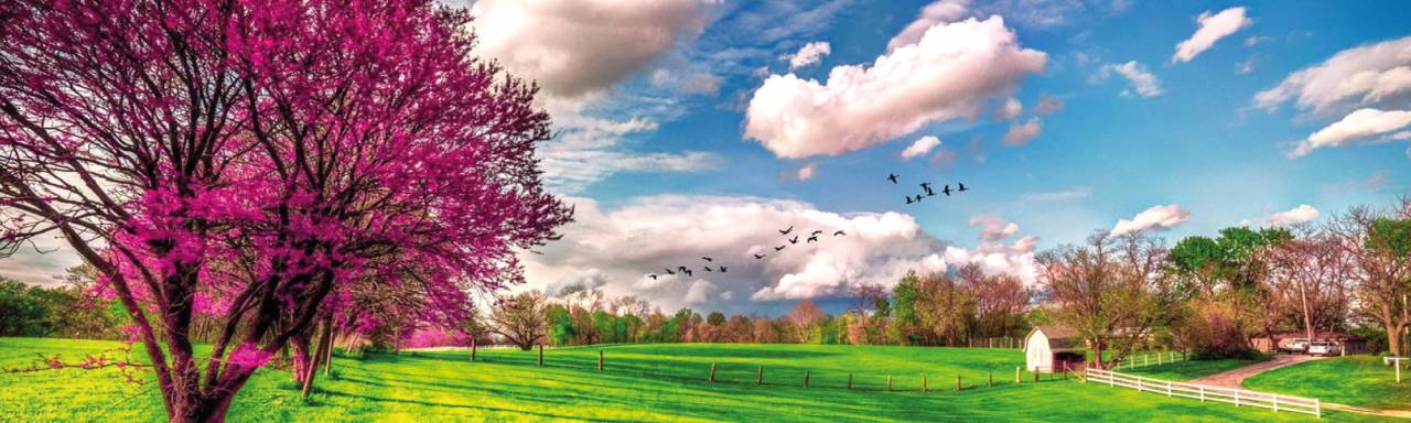 Renta de carro Bogota, Colombia